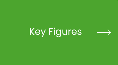 Key Figures